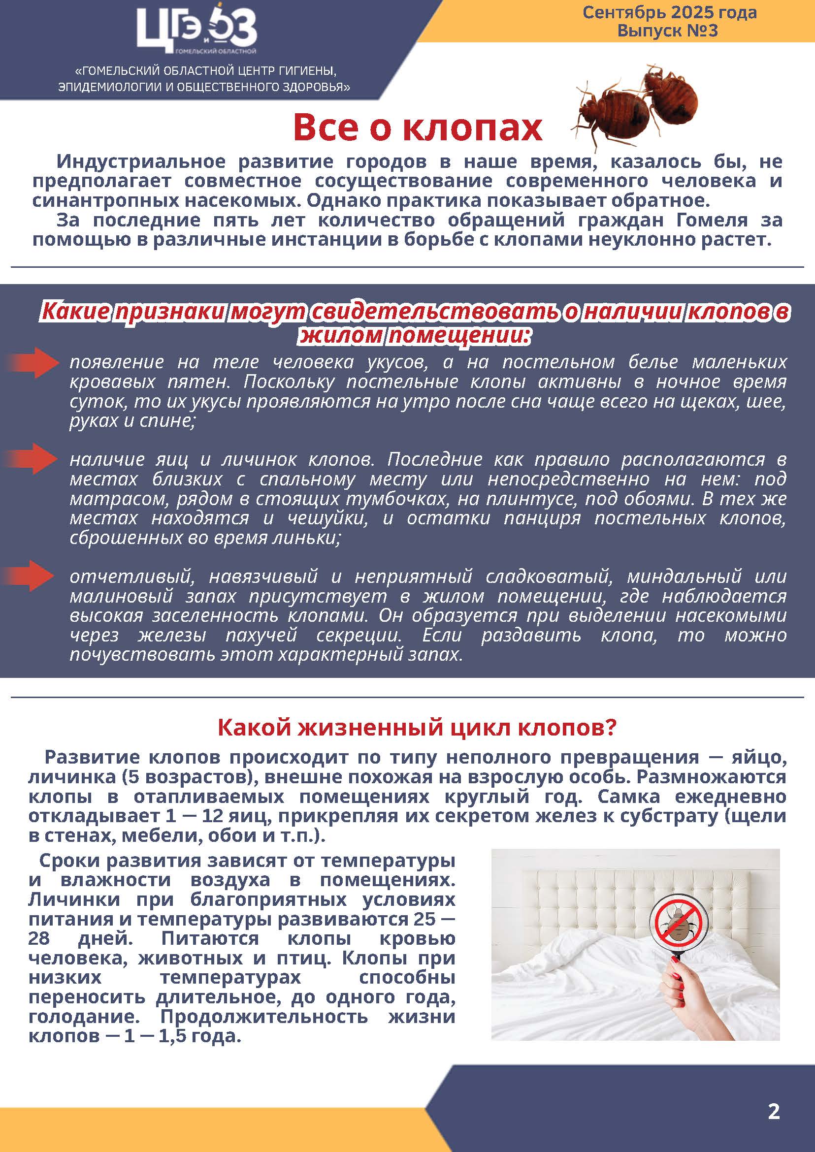 Бюллетень 3 Страница 02