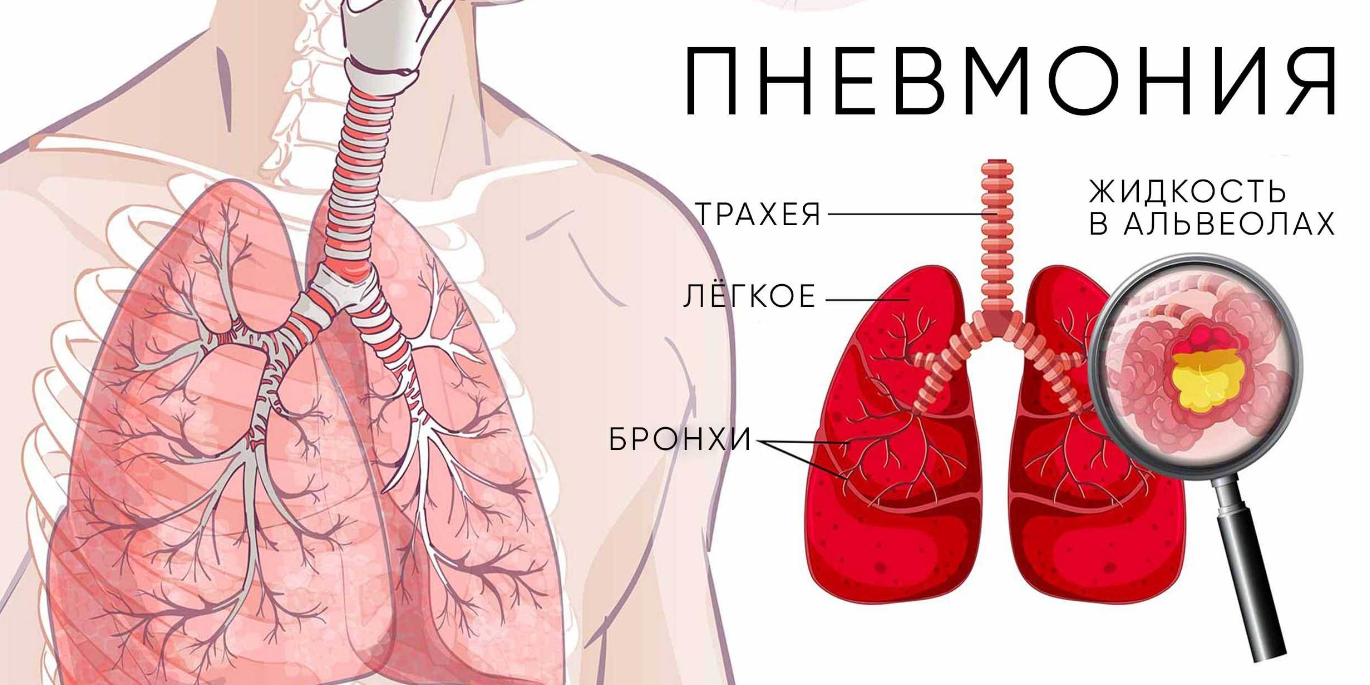 изображение 2024 06 26 165313230